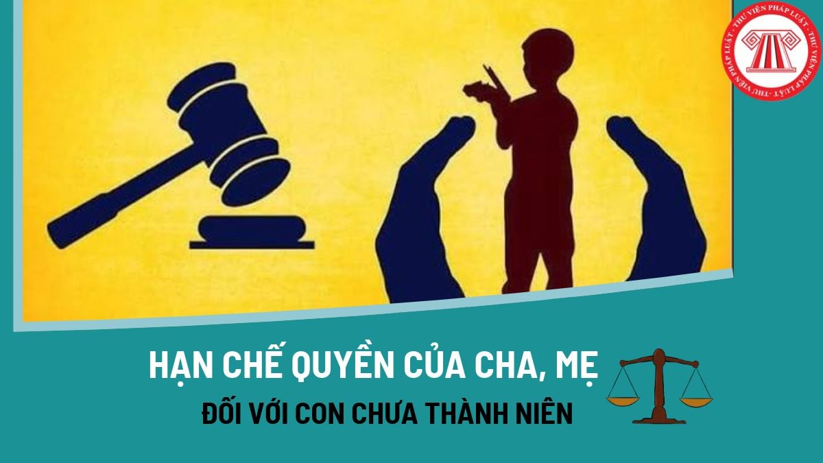 Pháp luật