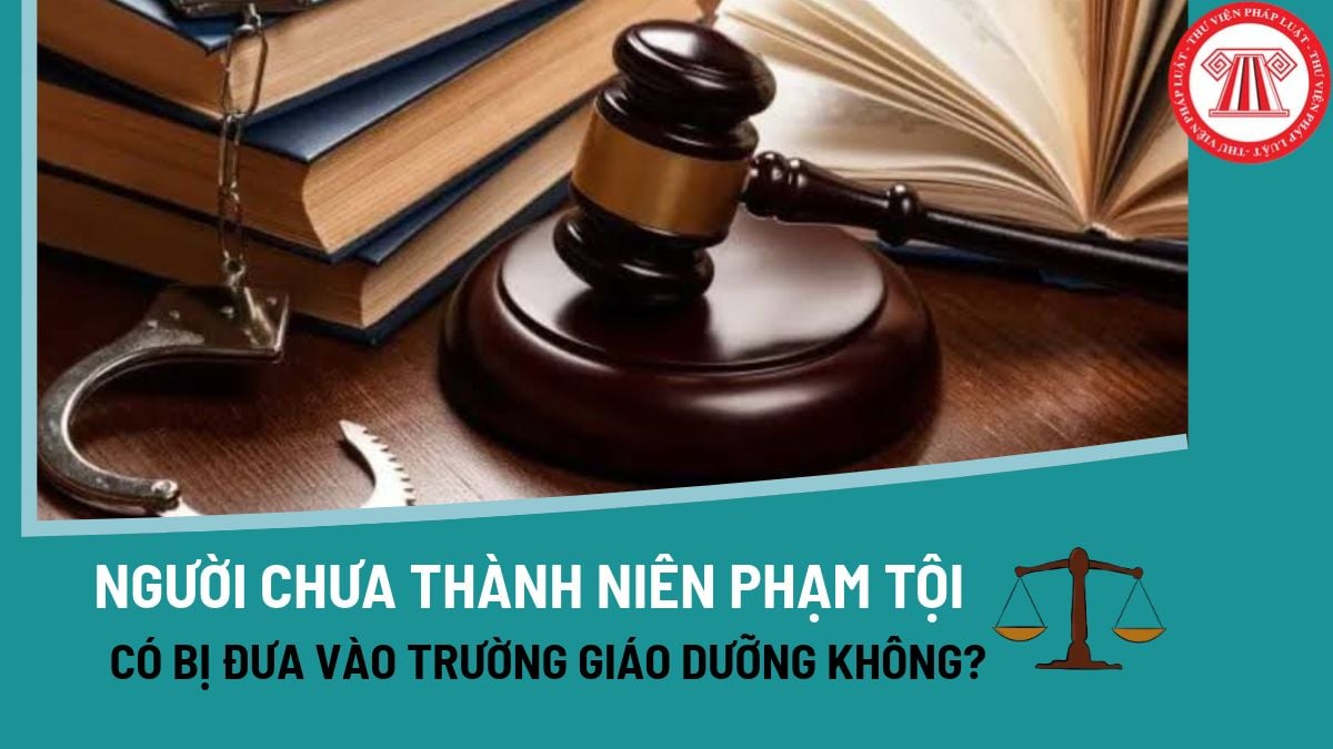 Pháp luật