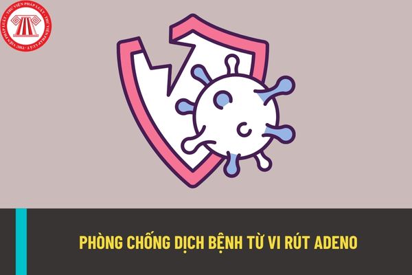 Hướng dẫn triển khai công tác phòng chống dịch bệnh từ vi rút Adeno? Cập nhật tình hình dịch bệnh do vi rút Adeno gây ra?