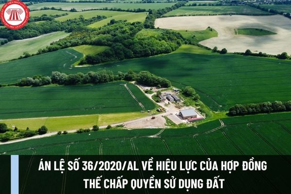 Án lệ số 36/2020/AL về hiệu lực của hợp đồng thế chấp quyền sử dụng đất khi giấy chứng nhận quyền sử dụng đất bị thu hồi, hủy bỏ?