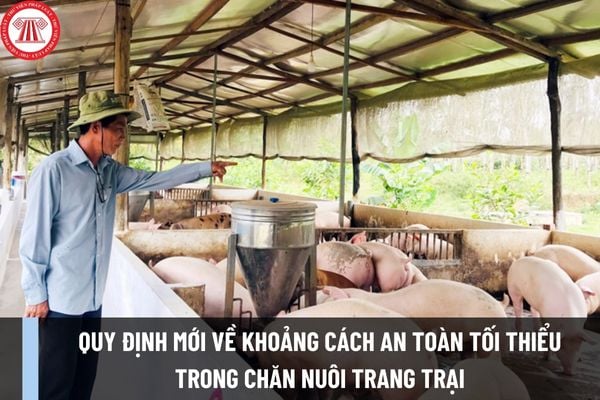 Quy định mới về khoảng cách an toàn tối thiểu trong chăn nuôi trang trại từ ngày 1/2/2024 như thế nào?