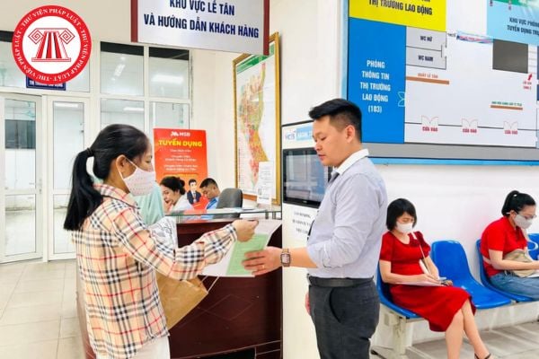 Pháp luật