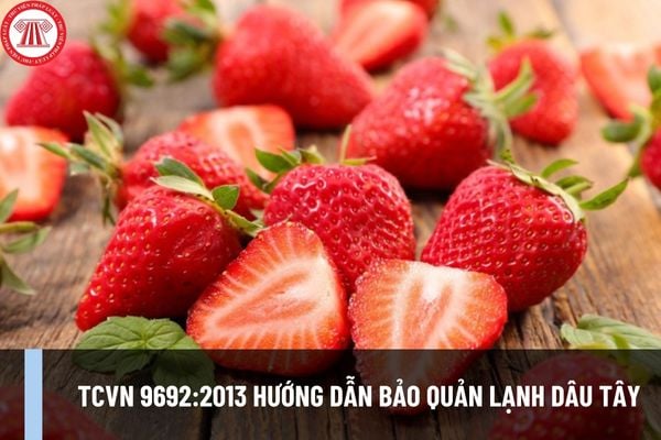 Tiêu chuẩn quốc gia TCVN 9692:2013 hướng dẫn bảo quản lạnh dâu tây như thế nào? Điều kiện bảo quản tối ưu dâu tây như thế nào?