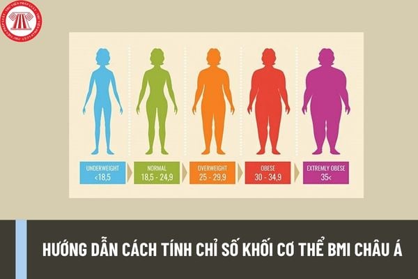 Hướng dẫn cách tính chỉ số khối cơ thể BMI châu Á? Chỉ số cơ thể BMI bao nhiêu là bình thường?