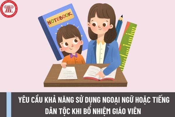 Khi bổ nhiệm, chuyển xếp CDNN giáo viên mầm non, tiểu học, trung học cơ sở có yêu cầu khả năng ứng dụng công nghệ thông tin, sử dụng ngoại ngữ hoặc tiếng dân tộc thiểu số không?