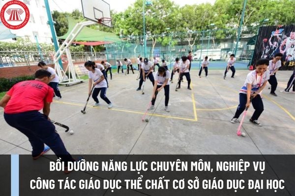 Chương trình bồi dưỡng năng lực chuyên môn, nghiệp vụ cho đội ngũ cán bộ quản lý, nhà giáo công tác giáo dục thể chất cơ sở giáo dục đại học ra sao?