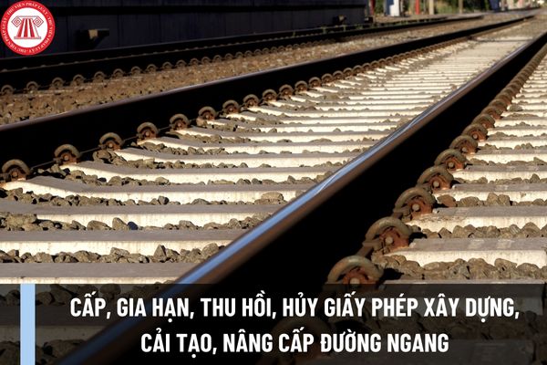 Cục Đường sắt Việt Nam có thẩm quyền cấp, gia hạn, thu hồi, hủy giấy phép xây dựng, cải tạo, nâng cấp đường ngang loại nào?