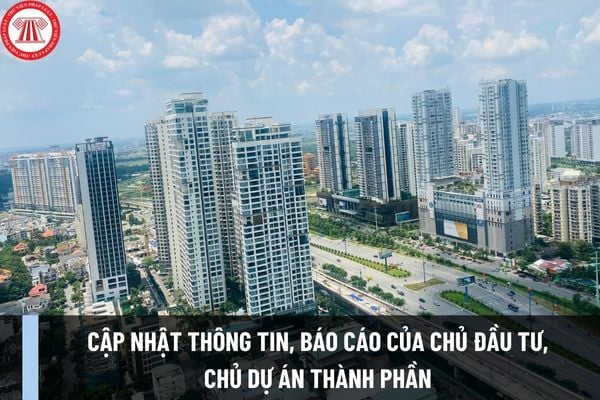 Quy định về việc cập nhật thông tin, báo cáo của chủ đầu tư, chủ dự án thành phần được quy định như thế nào?