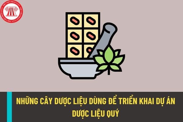 Triển khai thực hiện dự án dược liệu quý trên những cây dược liệu nào? Danh mục cây dược liệu được xem là có giá trị y tế và kinh tế cao?