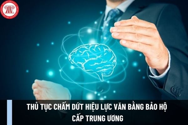 Thủ tục chấm dứt hiệu lực văn bằng bảo hộ cấp Trung ương mới nhất năm 2023 được thực hiện như thế nào? 