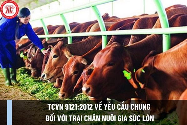 Tiêu chuẩn quốc gia TCVN 9121:2012 về yêu cầu chung đối với trại chăn nuôi gia súc lớn như thế nào?