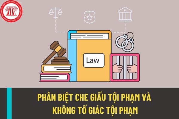 Phân biệt che giấu tội phạm và không tố giác tội phạm? Xử lý hành vi che giấu tội phạm và không tố giác tội phạm như thế nào?