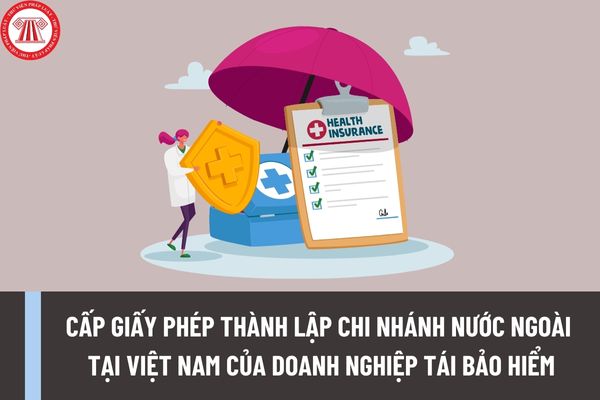 Hồ sơ đề nghị cấp Giấy phép thành lập và hoạt động của chi nhánh nước ngoài tại Việt Nam của doanh nghiệp tái bảo hiểm gồm những gì?
