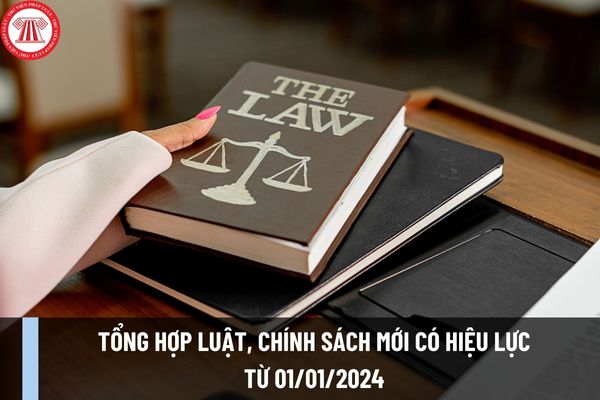Tổng hợp Luật, chính sách mới có hiệu lực từ 01/01/2024? 3 Luật mới sắp có hiệu lực là luật nào?