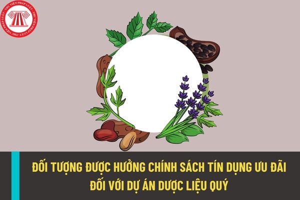 Đối tượng nào được hưởng chính sách tín dụng ưu đãi đối với dự án dược liệu quý thuộc chương trình mục tiêu quốc gia?