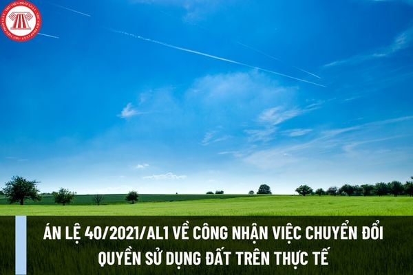 Án lệ 40/2021/AL1 về công nhận việc chuyển đổi quyền sử dụng đất trên thực tế có nội dung như thế nào?