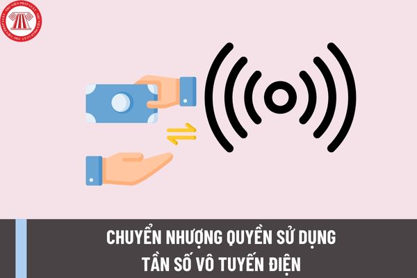 Thủ tục chuyển nhượng quyền sử dụng tần số vô tuyến điện theo Nghị định 63/2023/NĐ-CP được thực hiện như thế nào?