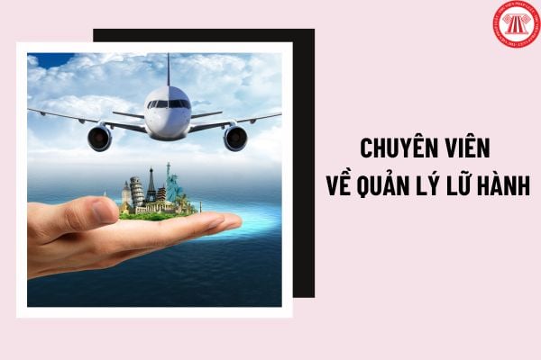 Các yêu cầu về trình độ của chuyên viên về quản lý lữ hành như thế nào? Công việc của chuyên viên về quản lý lữ hành bao gồm những gì?