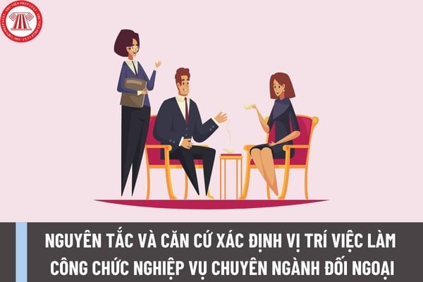 Nguyên tắc và căn cứ xác định vị trí việc làm công chức nghiệp vụ chuyên ngành đối ngoại như thế nào?