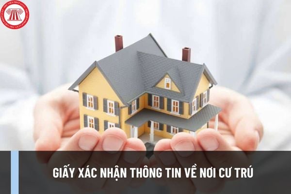 Hướng Dẫn Ghi Mẫu Ct07 Giấy Xác Nhận Thông Tin Về Nơi Cư Trú Mới Nhất Như Thế Nào Tải Mẫu Ct07 0537