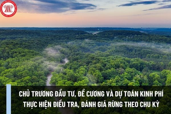 Thủ tục phê duyệt chủ trương đầu tư, đề cương và dự toán kinh phí thực hiện điều tra, đánh giá rừng theo chu kỳ trên phạm vi cả nước của Bộ NN&PTNT ra sao?