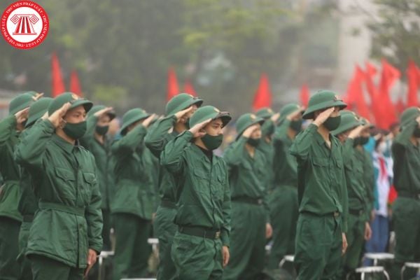 Pháp luật