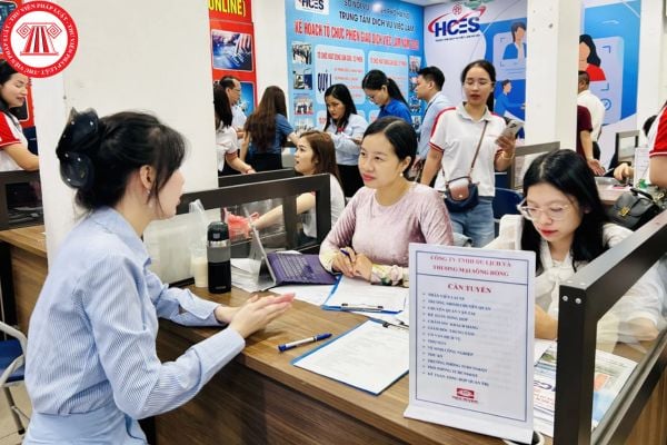 Pháp luật