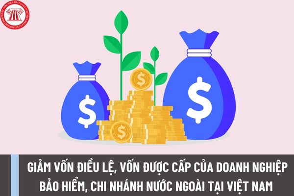 Doanh nghiệp bảo hiểm, chi nhánh nước ngoài tại Việt Nam giảm vốn điều lệ, vốn được cấp phải đáp ứng các điều kiện gì?