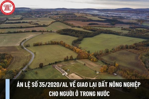 Án lệ số 35/2020/AL về người Việt Nam trước khi đi định cư ở nước ngoài giao lại đất nông nghiệp cho người ở trong nước sử dụng ra sao?