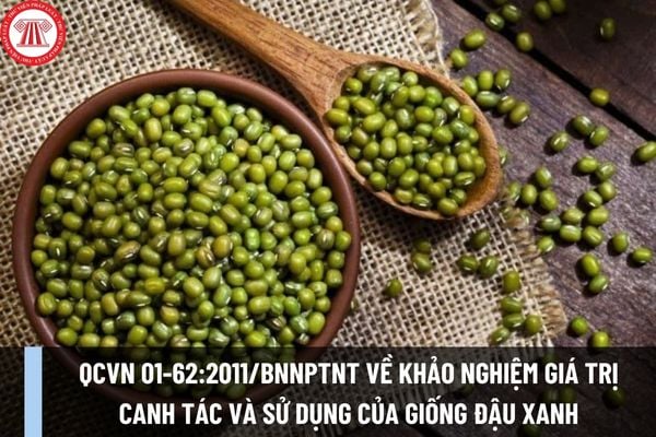 Quy chuẩn kỹ thuật QCVN 01-62:2011/BNNPTNT về khảo nghiệm giá trị canh tác và sử dụng của giống đậu xanh như thế nào?