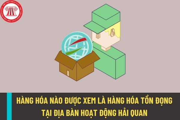 Hàng hóa lưu giữ tại kho bãi thuộc địa bàn hoạt động hải quan như thế nào sẽ được xem là hàng hóa tồn đọng?