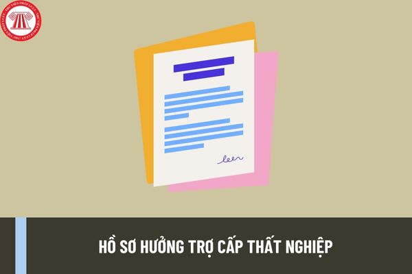 Hồ sơ hưởng trợ cấp thất nghiệp mới 2024? Người lao động nộp hồ sơ lãnh trợ cấp thất nghiệp ở đâu?