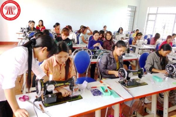 Pháp luật