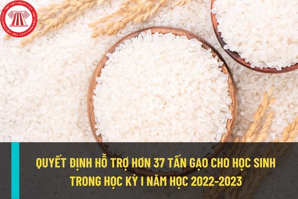 Quyết định hỗ trợ gạo trong học kỳ I năm học 2022-2023, học sinh cả nước được hỗ trợ hơn 37 tấn gạo?