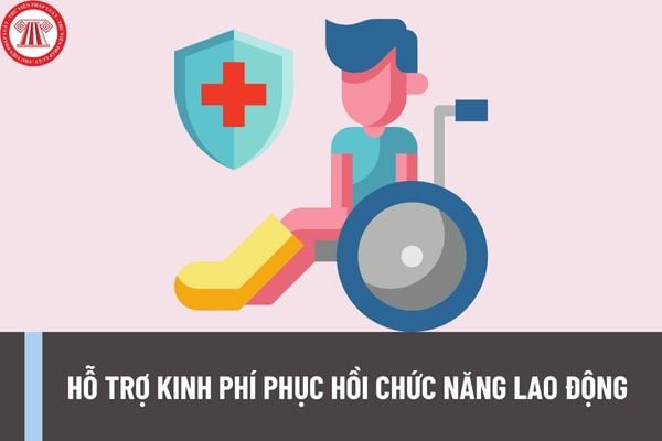 Suy giảm khả năng lao động từ bao nhiêu % trở lên thì được hỗ trợ kinh phí phục hồi chức năng lao động?