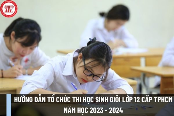 Hướng dẫn tổ chức thi học sinh giỏi lớp 12 cấp TPHCM năm học 2023 - 2024 như thế nào? Hạn nộp danh sách dự thi ra sao?