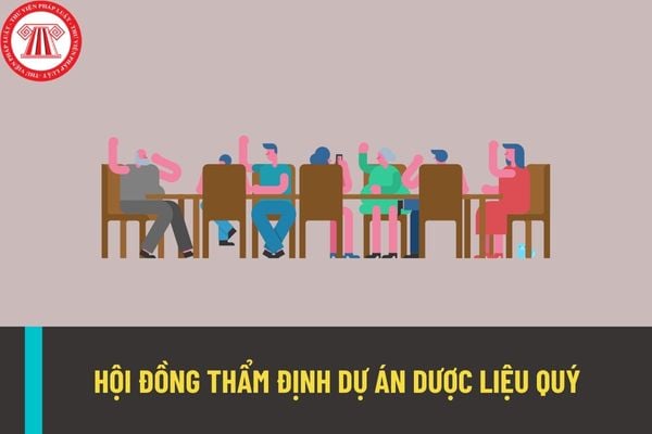 Hội đồng thẩm định dự án dược liệu quý gồm có những ai? Quy trình làm việc của Hội đồng như thế nào?