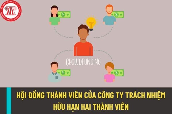 Hội đồng thành viên của công ty trách nhiệm hữu hạn hai thành viên gồm có những ai? Điều kiện họp hội đồng thành viên là gì?