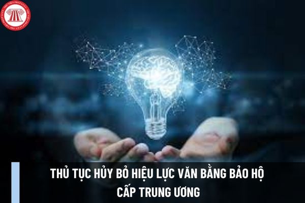 Thủ tục hủy bỏ hiệu lực văn bằng bảo hộ cấp Trung ương mới nhất 2023 được thực hiện như thế nào? 