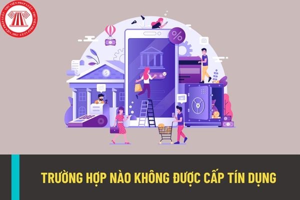 Những trường hợp nào sẽ không được cấp tín dụng bởi tổ chức tín dụng, chi nhánh ngân hàng nước ngoài tại Việt Nam?