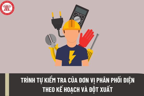 Trình tự kiểm tra của đơn vị phân phối điện theo kế hoạch và đột xuất được diễn ra như thế nào? 