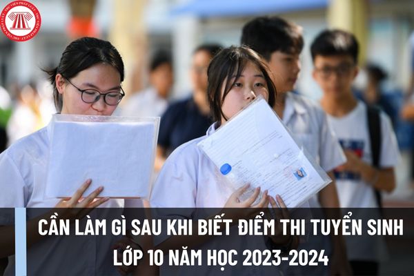 Học sinh và phụ huynh cần làm gì khi biết điểm thi tuyển sinh lớp 10 năm học 2023-2024? Cần lưu ý vấn đề nào để bảo vệ quyền lợi?
