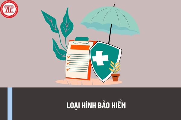 Thị trường bảo hiểm Việt Nam - phi nhân thọ đổi ngôi, nhân thọ tăng trưởng  mạnh