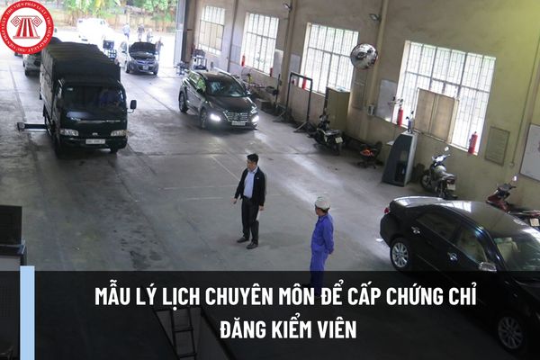 Mẫu lý lịch chuyên môn để cấp chứng chỉ đăng kiểm viên mới nhất 2023 theo Nghị định 30/2023/NĐ-CP?