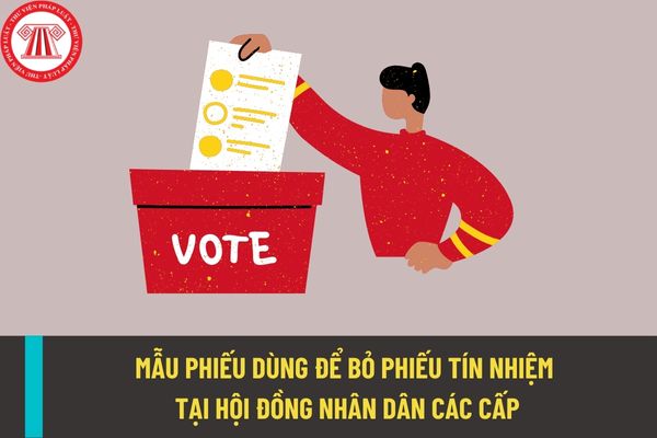 Mẫu phiếu sử dụng trong quy trình bỏ phiếu tín nhiệm tại Hội đồng nhân dân các cấp được quy định như thế nào?