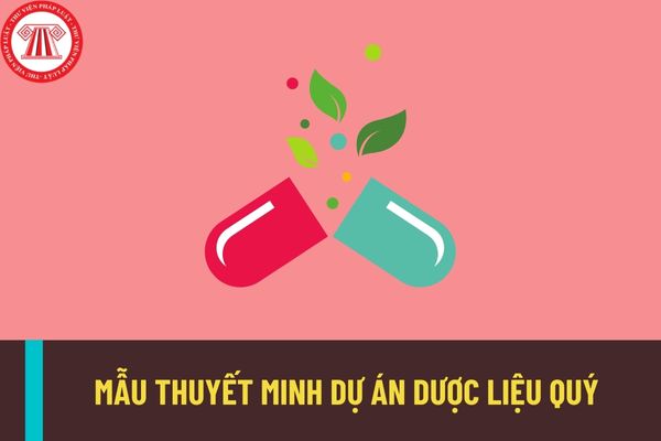 Mẫu thuyết minh dự án dược liệu quý mới nhất hiện nay? Công khai thông tin và lưu giữ kết quả thực hiện dự án dược liệu quý như thế nào?