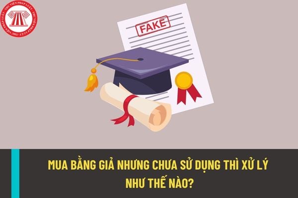 Sử dụng bằng giả sẽ bị xử phạt thế nào? Mua bằng giả nhưng chưa sử dụng thì có bị truy cứu trách nhiệm hình sự không?