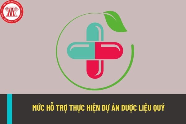 Mức hỗ trợ thực hiện dự án dược liệu quý thuộc chương trình mục tiêu quốc gia là bao nhiêu?