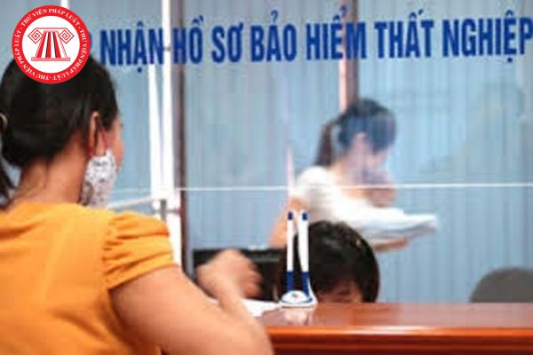 Pháp luật
