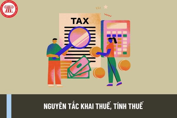 Nguyên tắc khai thuế, tính thuế theo quy định pháp luật mới nhất? Trường hợp nào người nộp thuế không phải nộp hồ sơ khai thuế?